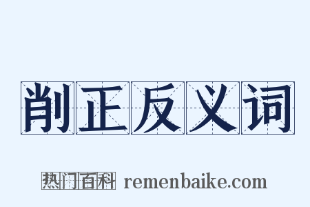 削正反义词是什么意思的图片